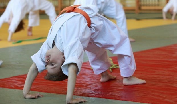 Фотография Мусубикай — Айкидо Новосибирск