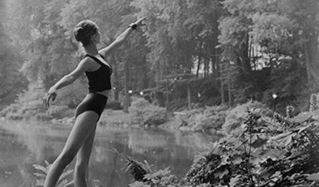 Фотография Body school Michel, школа танцев и пластики тела