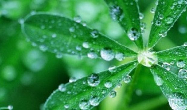 Фотография Жива, школа оздоровления