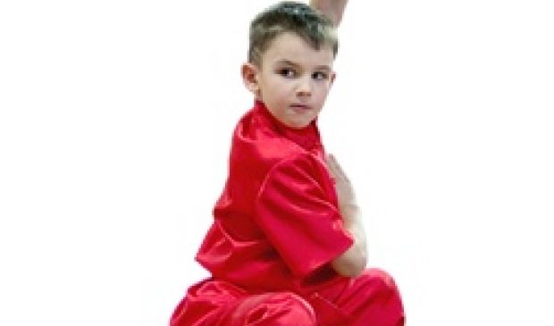 Фотография Восток, центр изучения ушу (Зал 2)