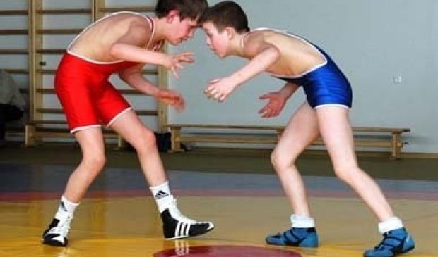 Фотография Тигр, секция греко-римской борьбы (Зал 1)