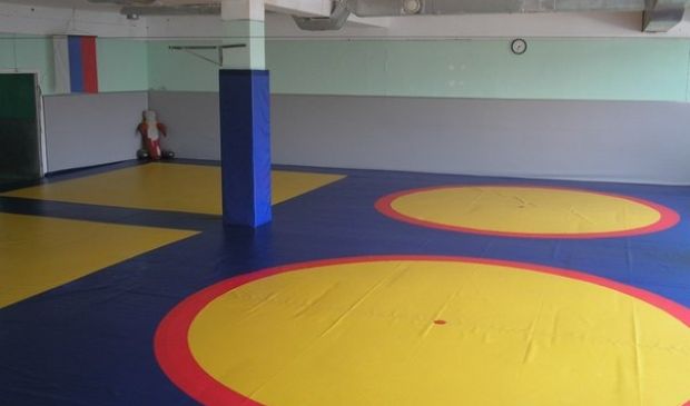 Фотография Тигр, секция греко-римской борьбы (Зал 2)